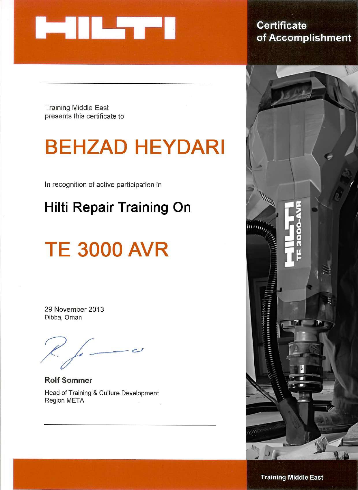 TE 3000 AVR