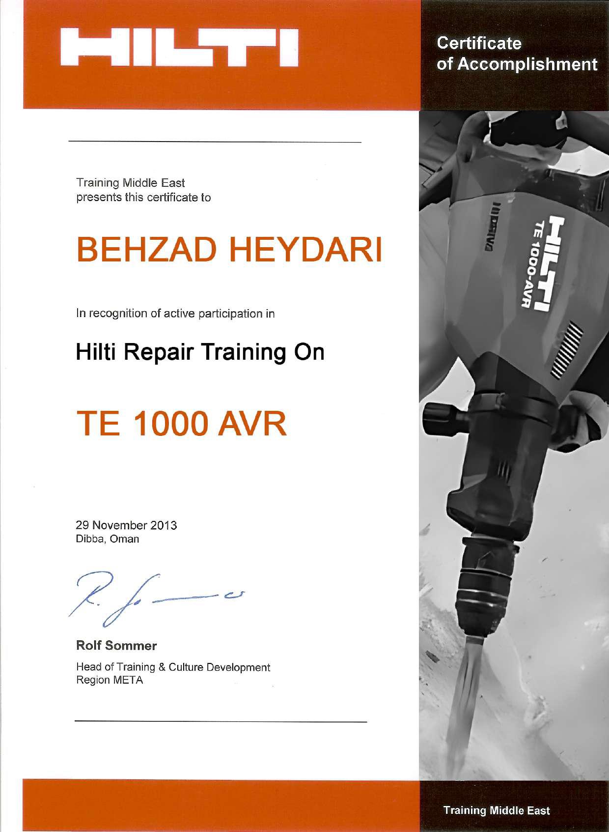 TE 1000 AVR